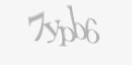 Защитный код