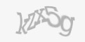 Защитный код