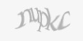 Защитный код