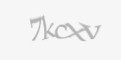 Защитный код