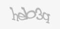 Защитный код