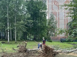 В Заречном началась вырубка аварийных деревьев в зоне благоустройства у Курчатова