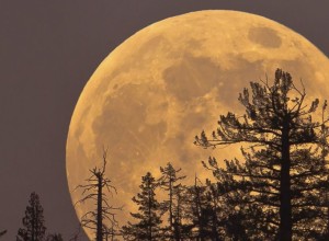 Понравилось наблюдать лунное затмение?