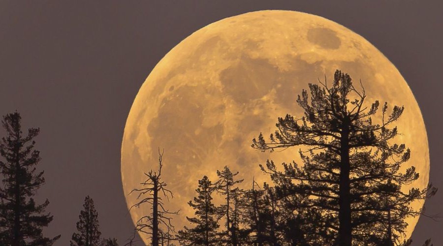 Понравилось наблюдать лунное затмение?