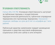 Ответственность за публикации в соцсетях и интернете