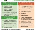Правила размещения отходов на контейнерных площадках: что разрешено, а что запрещено
