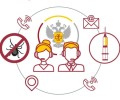 В Свердловской области начала работу горячая линия по вопросам профилактики клещевых инфекций