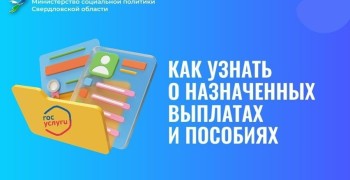 Как узнать о назначенных выплатах и пособиях?