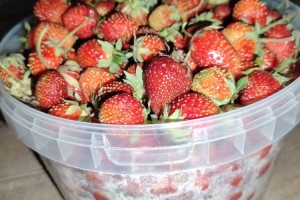 Продам викторию