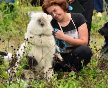 В субботу, 16 августа, под Асбестом прошла Гонка героев, в которой участвовали команды человек и собака