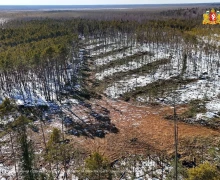 Арендаторы лесных участков Свердловской области готовы к пожароопасному сезону
