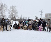 В выходные зареченские собачники соревновались в Асбесте на Зарничке