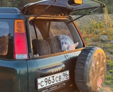 Honda CR-V, 
