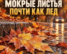 Мокрые листья на дорогах Заречного: как безопасно передвигаться осенью