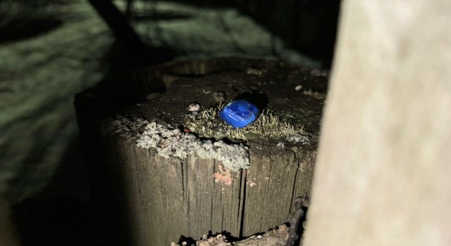 В Заречном задержаны жители Первоуральска по подозрению в наркоторговле