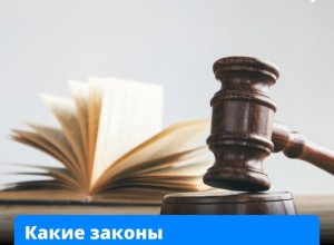 Порядок получения детских пособий изменят, чипсы начнут маркировать, а в банках станут ещё эффективнее бороться с мошенниками