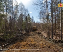 Арендаторы лесных участков Свердловской области готовы к пожароопасному сезону