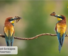 Подведены итоги конкурса «Красная ящерица – 2025»!