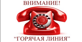 В Заречном начала работу горячая линия по вопросам выборов