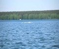 Больше 10 лебедей прилетели на водохранилище