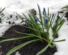 Это лучшие фото, что сделали зареченские дети
