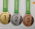 Победители и призеры межрегионального этапа чемпионата «Профессионалы» получат премии