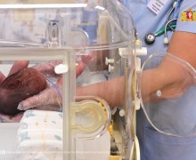 В Областном перинатальном центре выходили тройню, родившуюся на полтора месяца раньше срока
