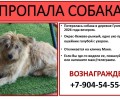 По всем вопросам писать: Ольга Черникова