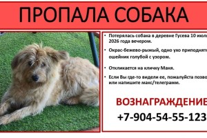 По всем вопросам писать: Ольга Черникова