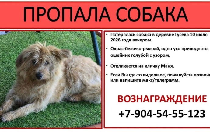 По всем вопросам писать: Ольга Черникова