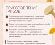 Судя по прогнозам синоптиков, нас ждут теплые выходные!