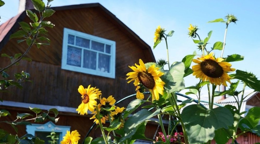 Свердловская область — лидер в УрФО по программе «Сельская ипотека»