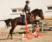 Воспитанницы клуба Добрая лошадь привезли 13 медалей с соревнований!