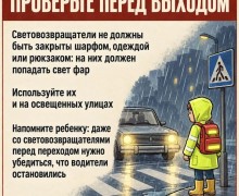 ГИБДД напоминает зареченским школьникам о световозвращателях