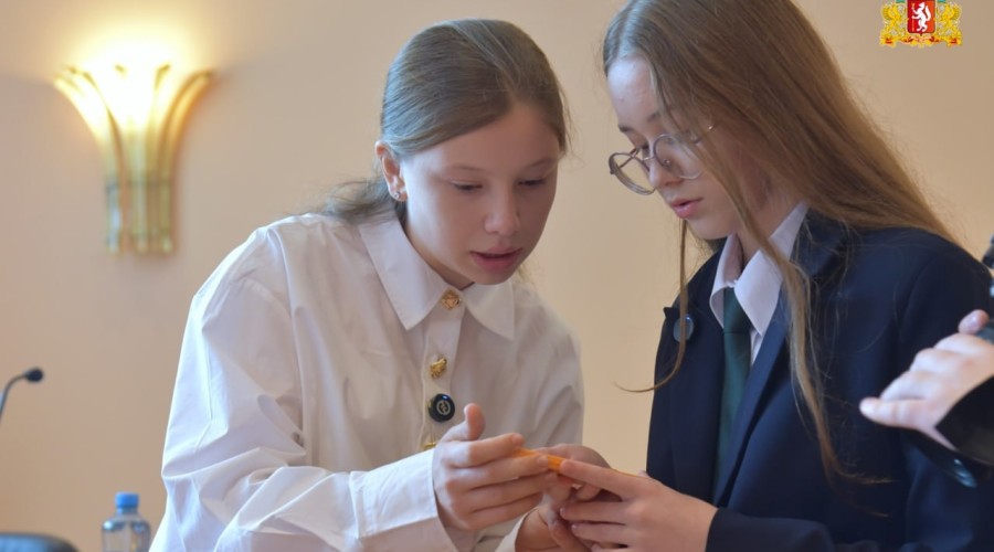 Школьницы из Старопышминска и финансисты из Асбеста вошли в число победителей федерального конкурса «Бюджет для граждан»