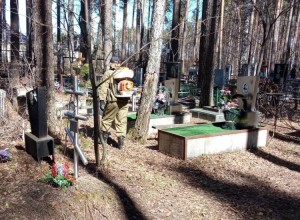 В Заречном стартовала акарицидная обработка общественных пространств