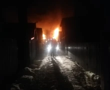 ПОЖАР В СНТ ДРУЖБА