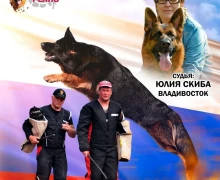 В эти выходные, 21 и 22 июня в Заречном пройдёт большая выставка собак!