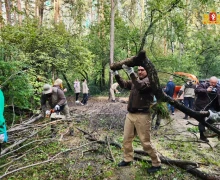 Шарташский лесной парк стал центральной площадкой всероссийского субботника «Зеленая Россия» в нашем регионе