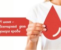 Всемирный день донора крови: дата в честь безвозмездных доноров