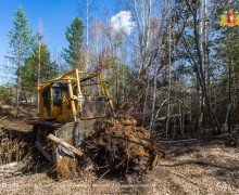 Арендаторы лесных участков Свердловской области готовы к пожароопасному сезону