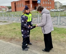 Сотрудники Госавтоинспекции провели акцию «Засветись» совместно с воспитанниками детского сада «Солнышко»