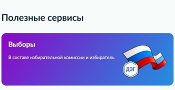 Жителям Заречного напомнили, как найти сведения о кандидатах и свой избирательный участок