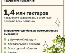 Сократить площадь лесных пожаров в России вдвое к 2030 году 