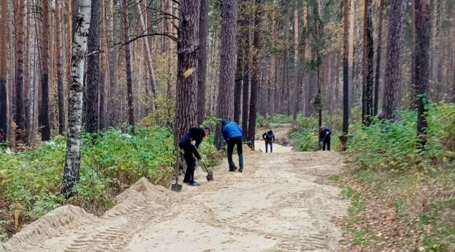 Городские власти готовы рассмотреть вариант расчистки леса у водохранилища, но жители не просят…