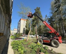 Чтобы город был красивы, за ним надо ухаживать