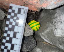 В Заречном задержаны жители Первоуральска по подозрению в наркоторговле