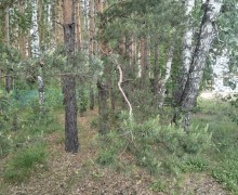 Продается дом в д. Боярка