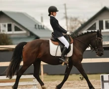 Воспитанницы клуба Добрая лошадь привезли 13 медалей с соревнований!