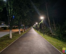 Почему в Экопарке и на новой каскадной лестнице по вечерам временами не горят фонари?